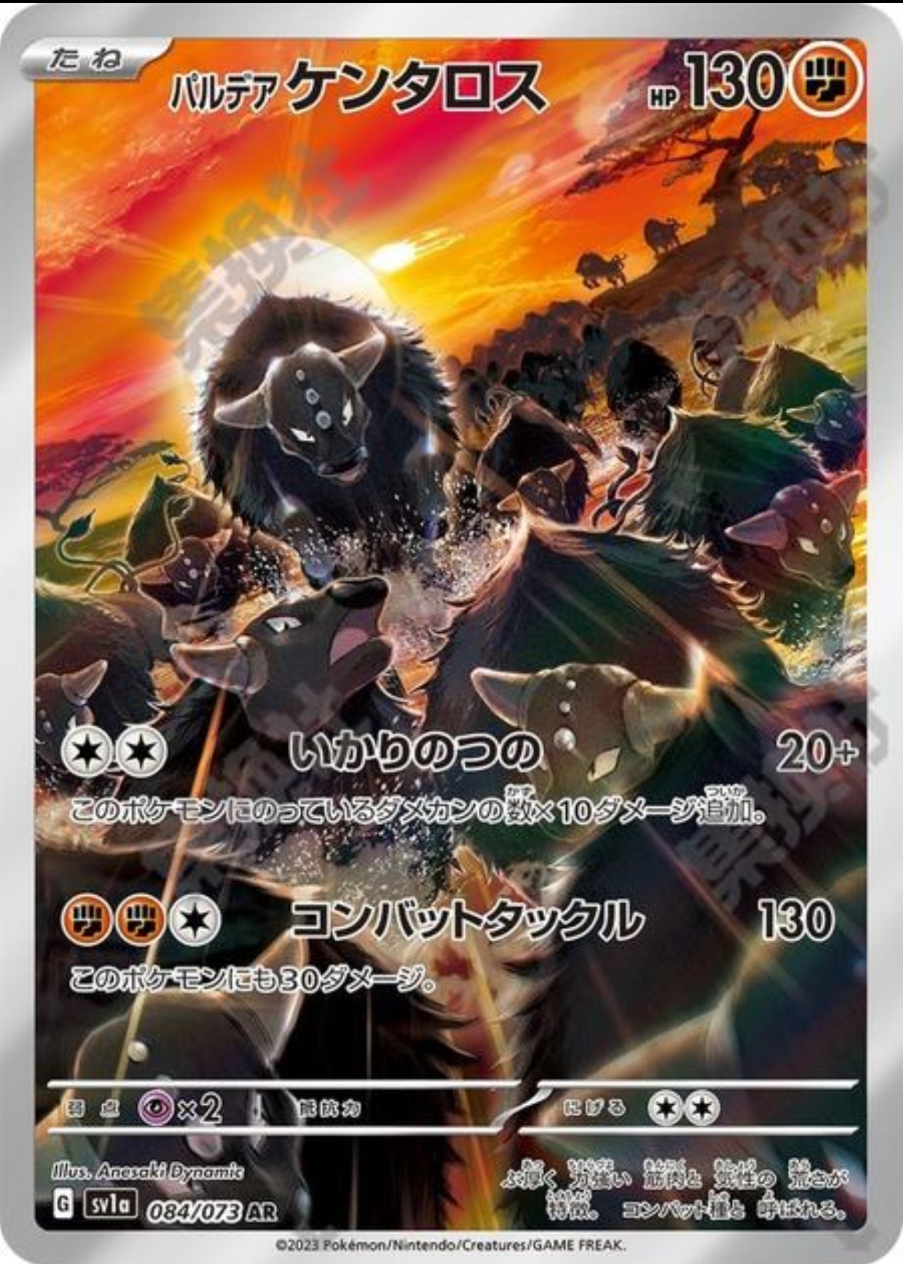 Paldean Tauros (JP)
