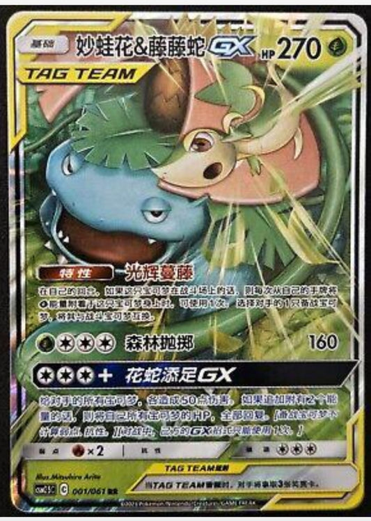 Venusaur & Snivy GX Chinese