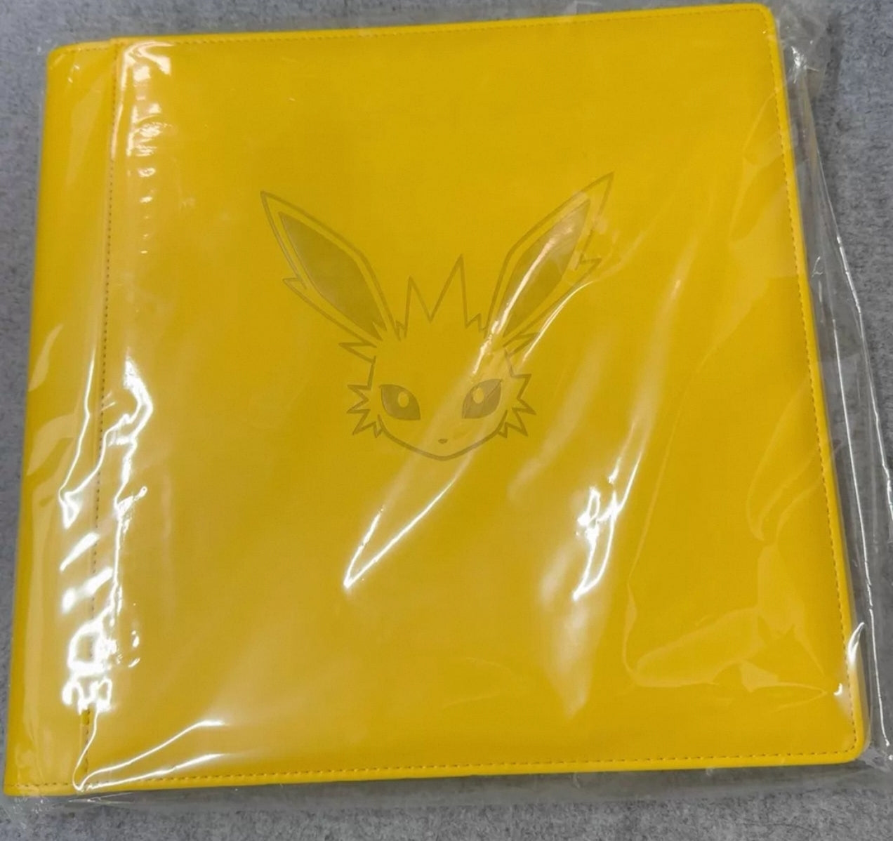 Chinese Eveelutions binders (binders only)